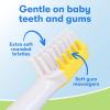 FIREFLY First Firefly Training Light Up Toothbrush, Baby Shark, Yellow(1 Count (Pack of 1))