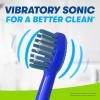 FIREFLY Play Action Sonic The Hedgehog Toothbrush Kit, Interactive Battery Operated Toothbrush with Lights, Music and Games, Batteries Included, Ages 3+(1 Count (Pack of 1))
