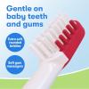 First Firefly Peppa Pig Training Kit, Light Up Toothbrush with Extra Soft Bristles and Natural Strawberry Flavor Training Toothpaste, 1.75 oz